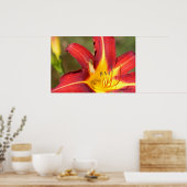 Tiger Lily & Friend Poster (Küche)