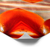 Tiger Lily Fun..... Poster (Ecke)