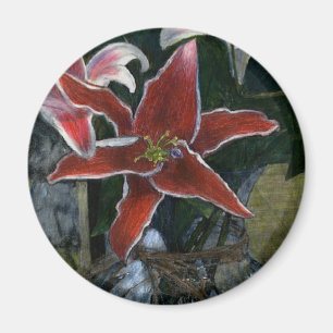 Tiger Lily Gibney The MUSEUM Zazzle Geschenke Magnet