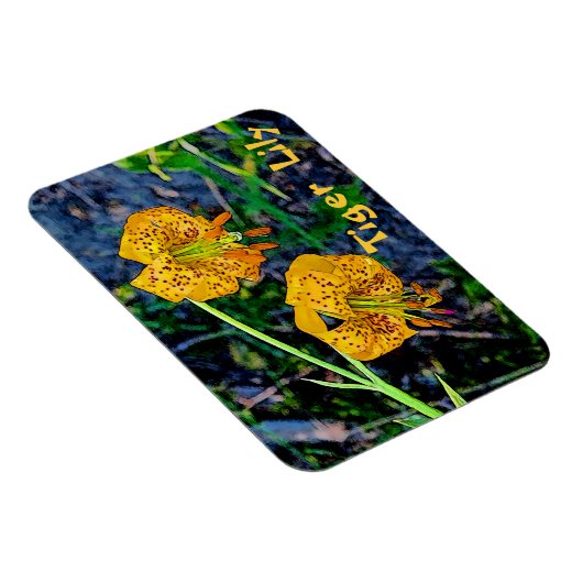 Tiger Lily Magnet (Rechte Seite)