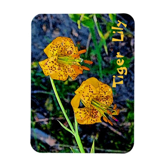 Tiger Lily Magnet (Vertikal)