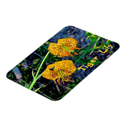 Tiger Lily Magnet (Linke Seite)