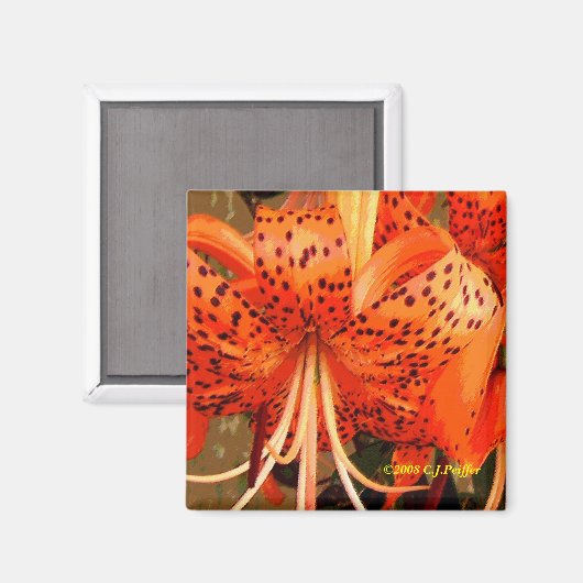 'Tiger Lily' Magnet (Vorderseite/Rückseite)