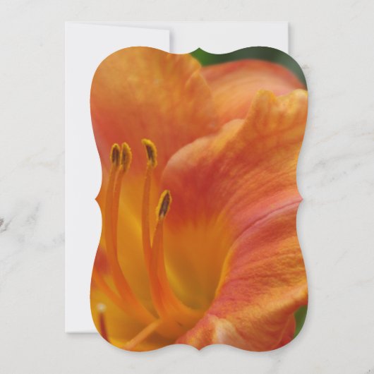 Tiger Lily Polterabend Einladung (Rückseite)