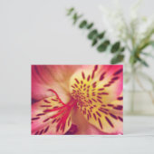 Tiger Lily Postcard Postkarte (Stehend Vorderseite)