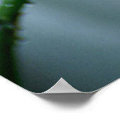 Tiger Lily Poster (Ecke)