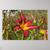 Tiger Lily Poster (Vorne)