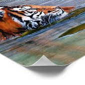 Tiger Lily Poster (Ecke)