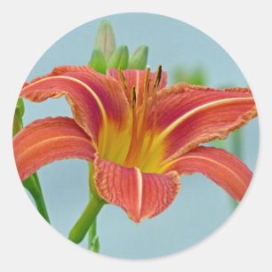 Tiger Lily Runder Aufkleber