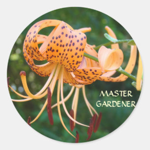 TIGER LILY STICKERS Master Gardener gibt Blume