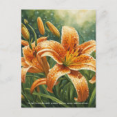Tiger Lily Symbolism Postkarte (Vorderseite)