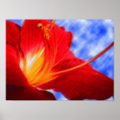 Tiger Lily "zeichnend" Poster (Vorne)