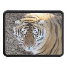 Tiger-LKW-Anhängevorrichtungs-Abdeckung