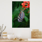 Tiger Longwing Art Poster -24x36 - andere Größen a (Küche)