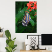 Tiger Longwing Art Poster -24x36 - andere Größen a (Heimbüro)