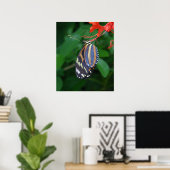Tiger Longwing Art Print -20x24 - auch in anderen  Poster (Heimbüro)
