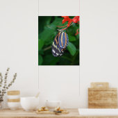 Tiger Longwing Art Print -20x24 - auch in anderen  Poster (Küche)