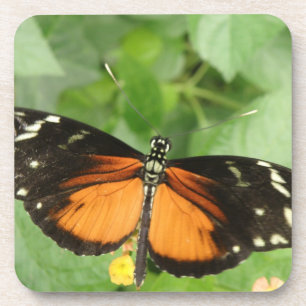 Tiger Longwing Butterfly Cork Untersetzer