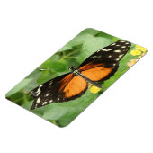 Tiger Longwing Butterfly Flexi Magnet (Linke Seite)