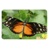 Tiger Longwing Butterfly Flexi Magnet (Horizontal)