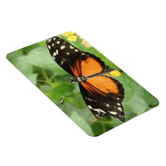 Tiger Longwing Butterfly Flexi Magnet (Rechte Seite)