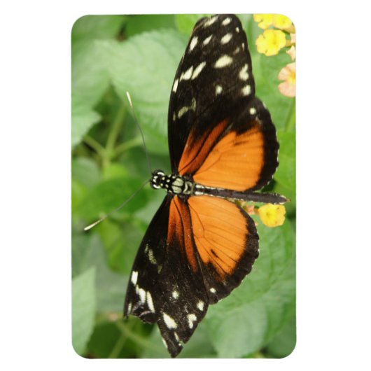 Tiger Longwing Butterfly Flexi Magnet (Vertikal)