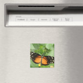 Tiger Longwing Butterfly Magnet (In Situ (Geschirrspüler))