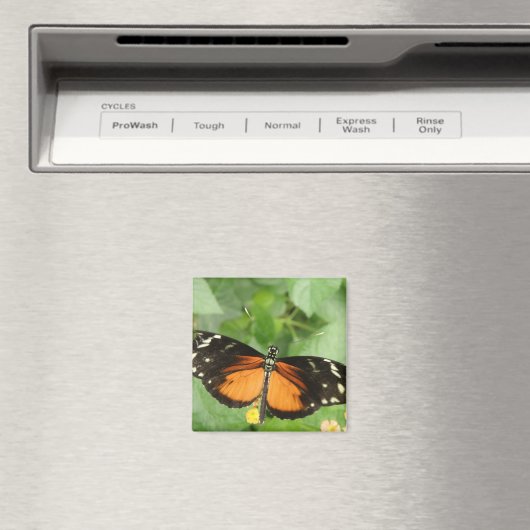 Tiger Longwing Butterfly Magnet (In Situ (Geschirrspüler))