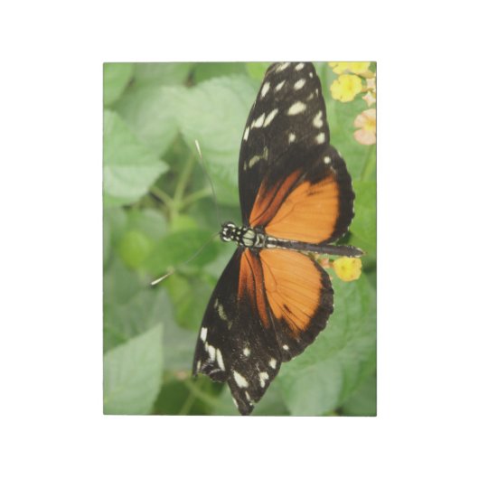Tiger Longwing Butterfly Notepad Notizblock (Rotiert)