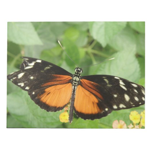Tiger Longwing Butterfly Notepad Notizblock (Vorderseite)