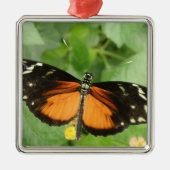 Tiger Longwing Butterfly Ornament (Vorne)