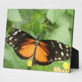 Tiger Longwing Butterfly Plaque Fotoplatte (Seite)