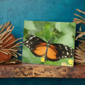 Tiger Longwing Butterfly Plaque Fotoplatte (Seite)