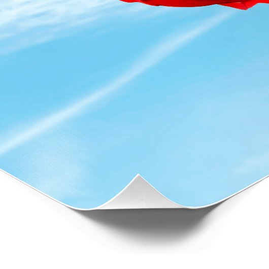 Tiger longwing butterfly pollinating a rose Don Ju Poster (Ecke)