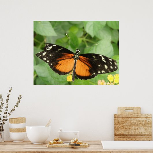Tiger Longwing Butterfly Print Poster (Küche)