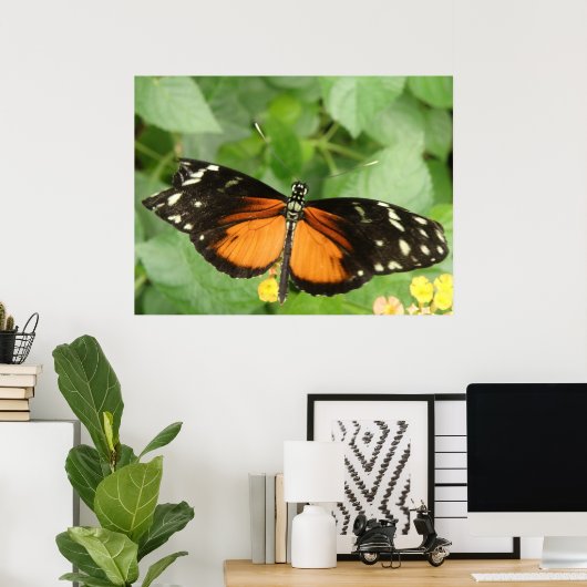 Tiger Longwing Butterfly Print Poster (Heimbüro)