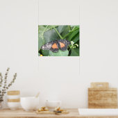 Tiger Longwing Butterfly Print Poster (Küche)