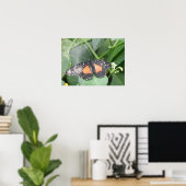Tiger Longwing Butterfly Print Poster (Heimbüro)