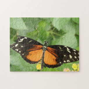 Tiger Longwing Butterfly Puzzle