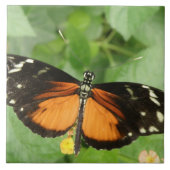 Tiger Longwing Butterfly Tile Fliese (Vorderseite)