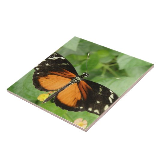 Tiger Longwing Butterfly Tile Fliese (Seite)