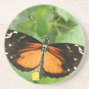 Tiger Longwing Butterfly Untersetzer