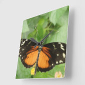 Tiger Longwing Butterfly Wall Clock Quadratische Wanduhr (Winkel)
