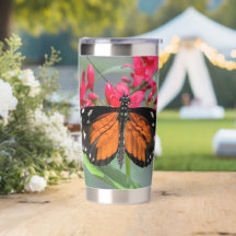 Tiger Longwing Resting on Red Flowers
