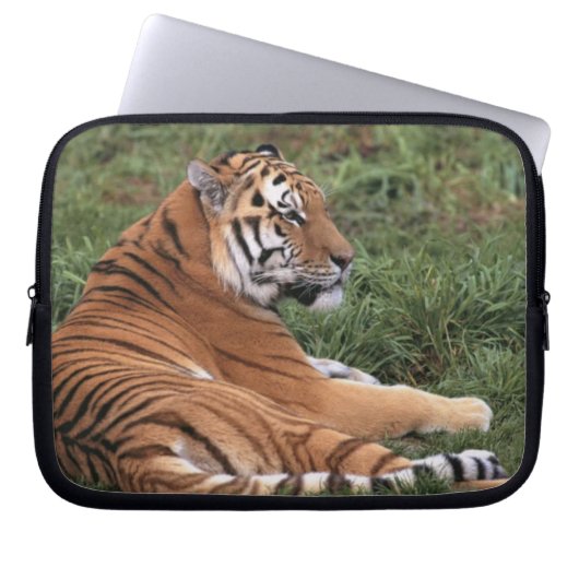 Tiger Lounges Laptop-Sieb Laptopschutzhülle (Vorderseite)