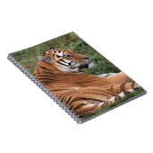 TIger Lounging auf Grass-Notebook Notizblock (Rechte Seite)
