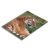 TIger Lounging auf Grass-Notebook Notizblock (Linke Seite)