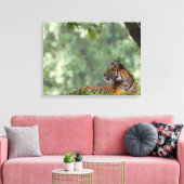 Tiger Lounging unter einem Baum Leinwanddruck (Insitu (Wohnzimmer))