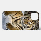 Tiger Lovers Case-Mate iPhone Hülle (Rückseite (Horizontal))