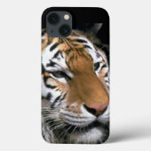 Tiger Lovers Case-Mate iPhone Hülle (Rückseite)